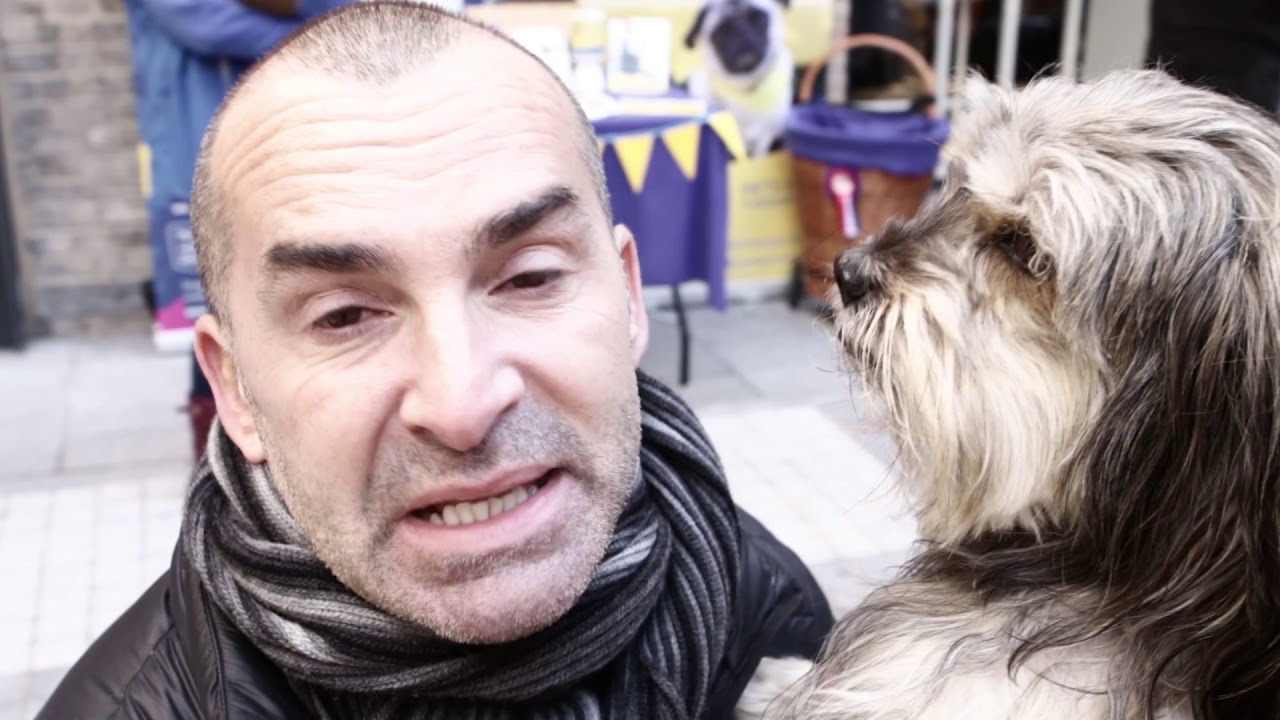 HOSTING A DOG SHOW | LOUIE SPENCE