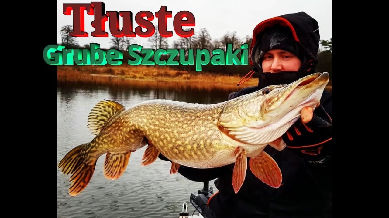 Grube szczupaki na Wesoło /Szczupak na Jerka /Savage Gear MPP2 w Akcji /StrikePro Jerk