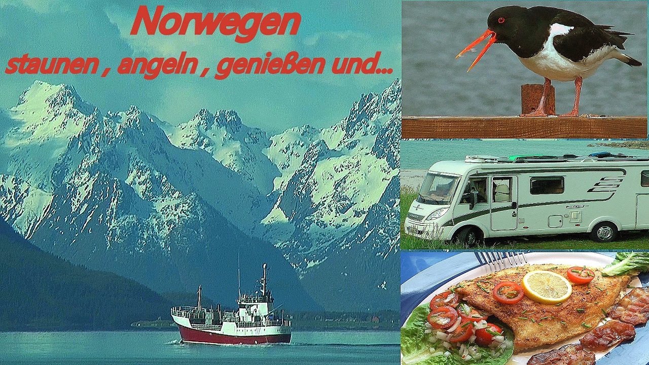 Norwegen: Mit Wohnmobil & Angel, vom Polarkreis auf die Vesteralen und...