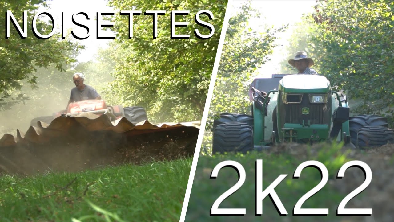 🌰Récolte des noisettes 2k22 !!! | Matériel Made in Lot-et-Garonne🇫🇷&USA🇺🇸| Leger/Weiss McNair