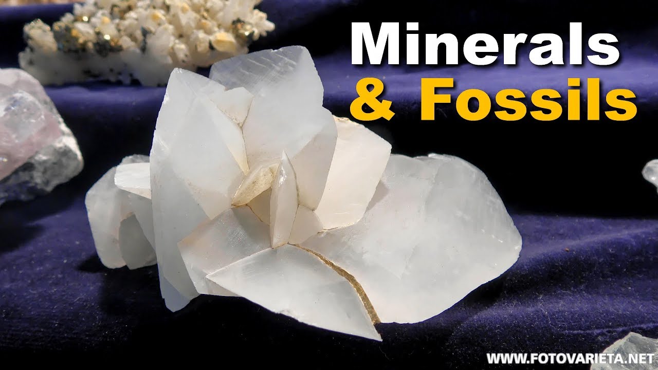 Minerals, Fossils EuroMineralExpo 2018 Turin, International Exhibition, Minerali e Fossili (2)