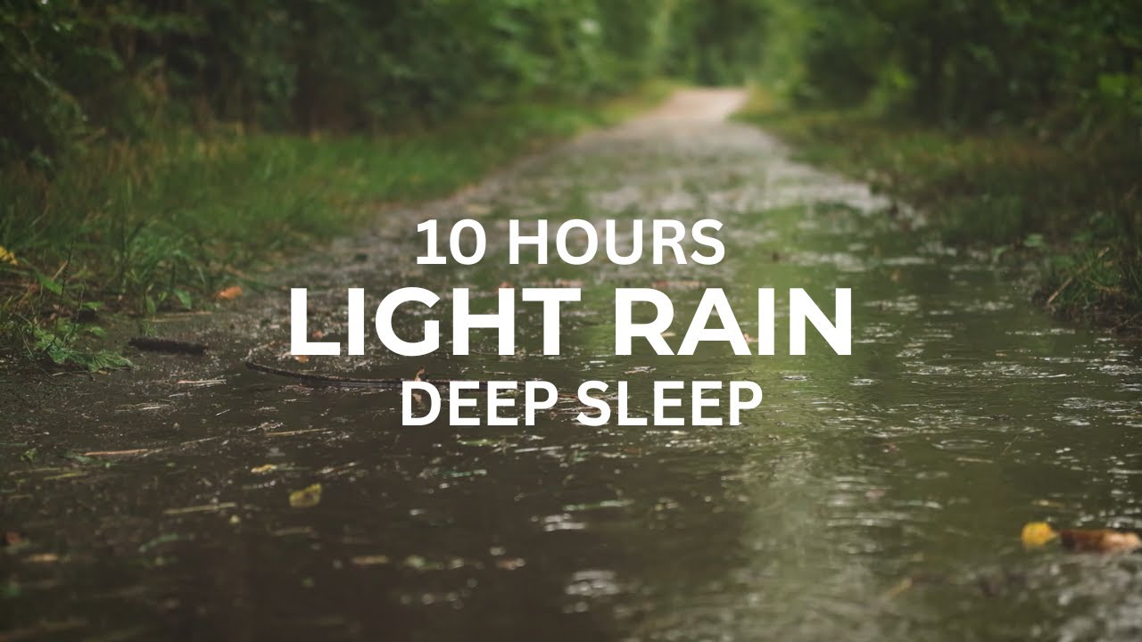 Light Rain Sounds for Sleeping  | Relaxing Rain Ambience | Black Screen | 10 Hours