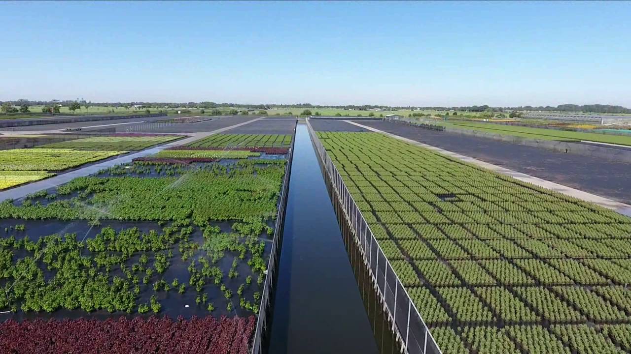 Meet en Green Boskoop 2016 bij Van Lint BV