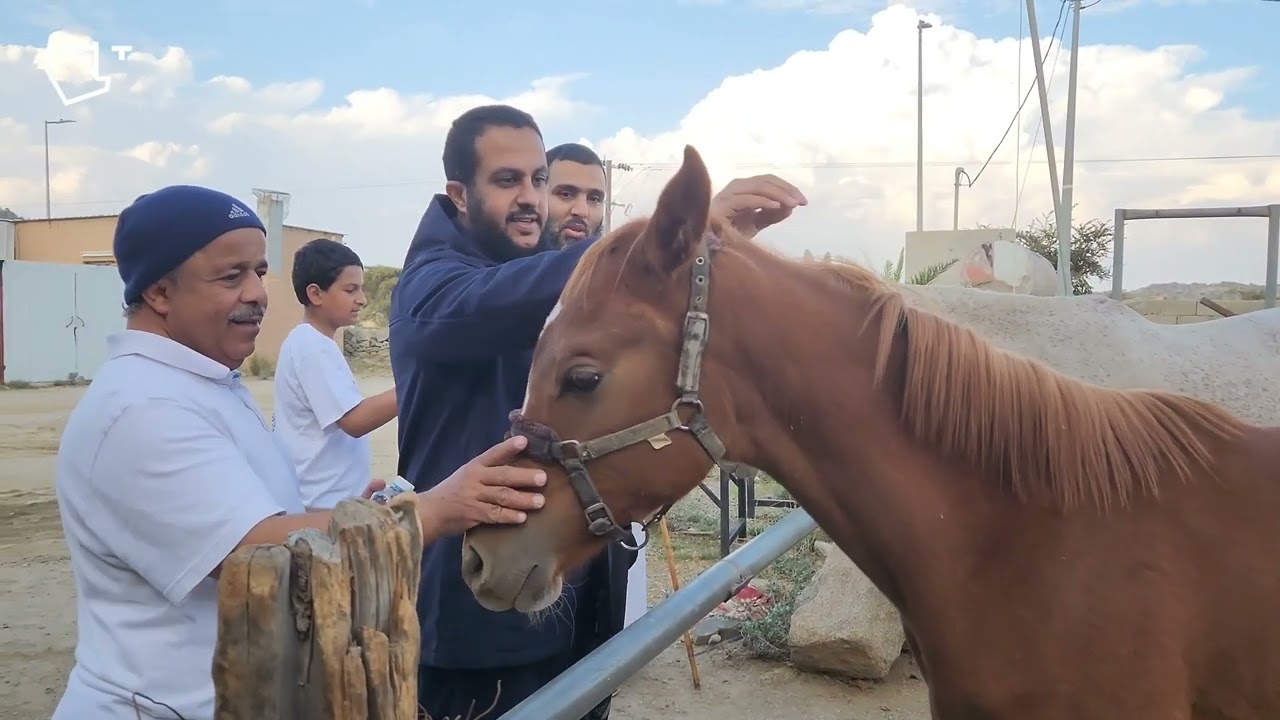 قرية البركة Al-Barakah village