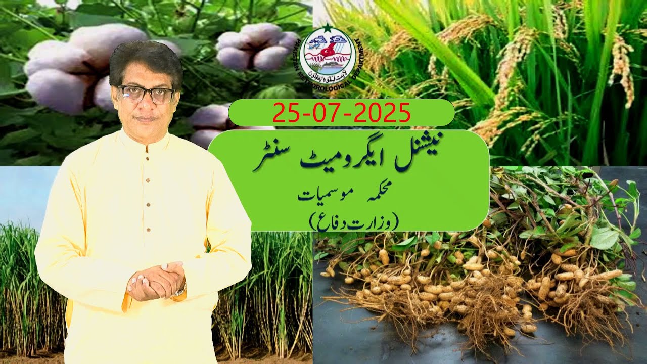 Farmer&rsquo;s Weather Forecast  | 25-07-2025 | PMD Agriculture Advisory