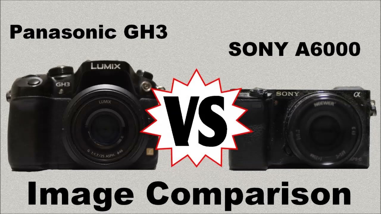 Panasonic GH3 vs Sony A6000 Image Quality Comparison (Part 1)