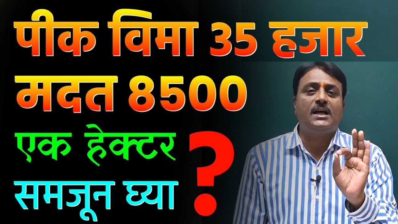 पीक विमा योजना 2025 | अतिवृष्टी नुकसान भरपाई समजून घ्या | pik vima