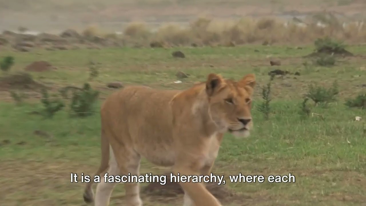 Divine Authority: Nature's Master