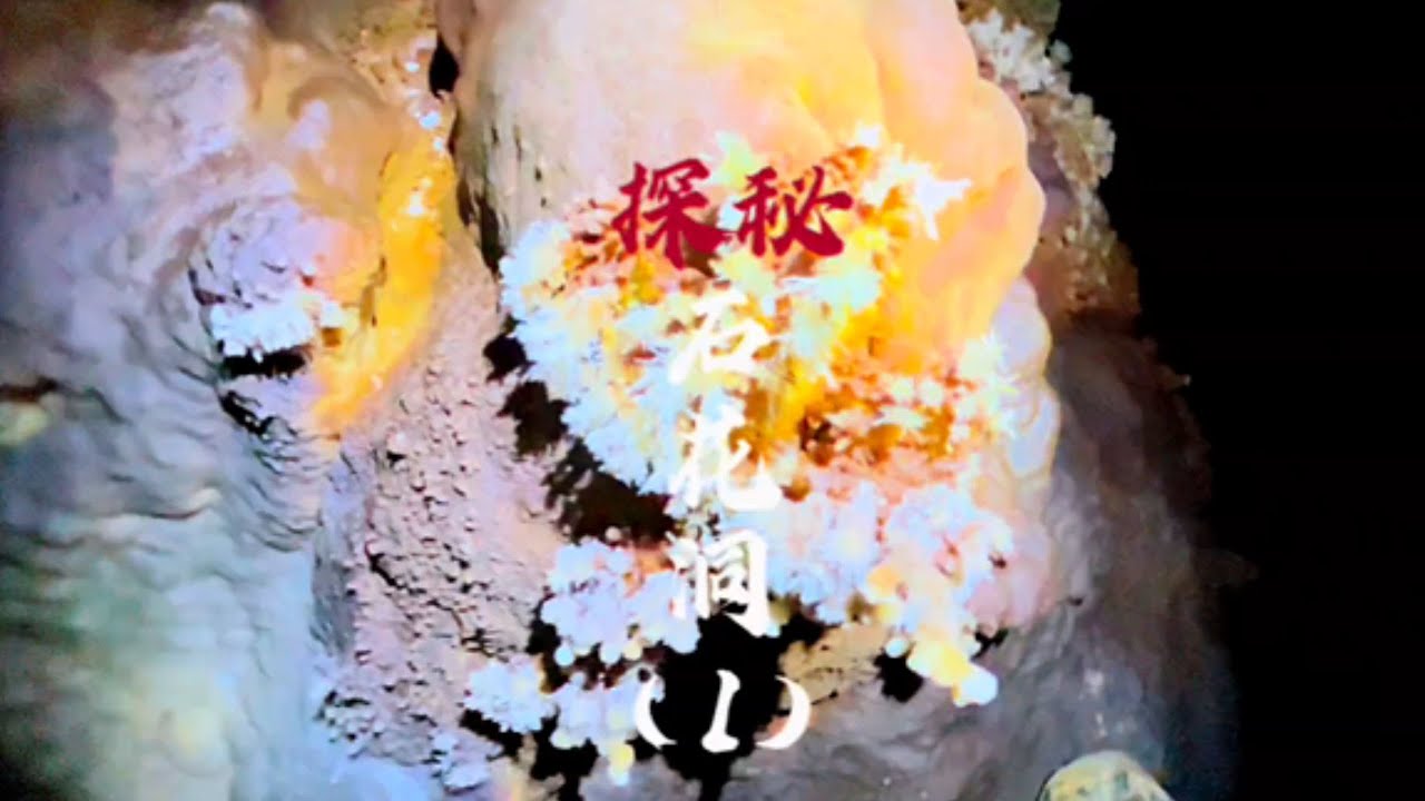 探秘石花洞 石頭開花你看過嗎？ 