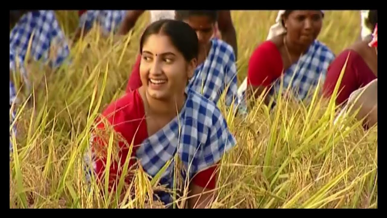Koithulsavam (കൊയ്ത്തുൽസവം )Music Album/SUNEESH NEENDOOR(SUNEE SEKHAR)