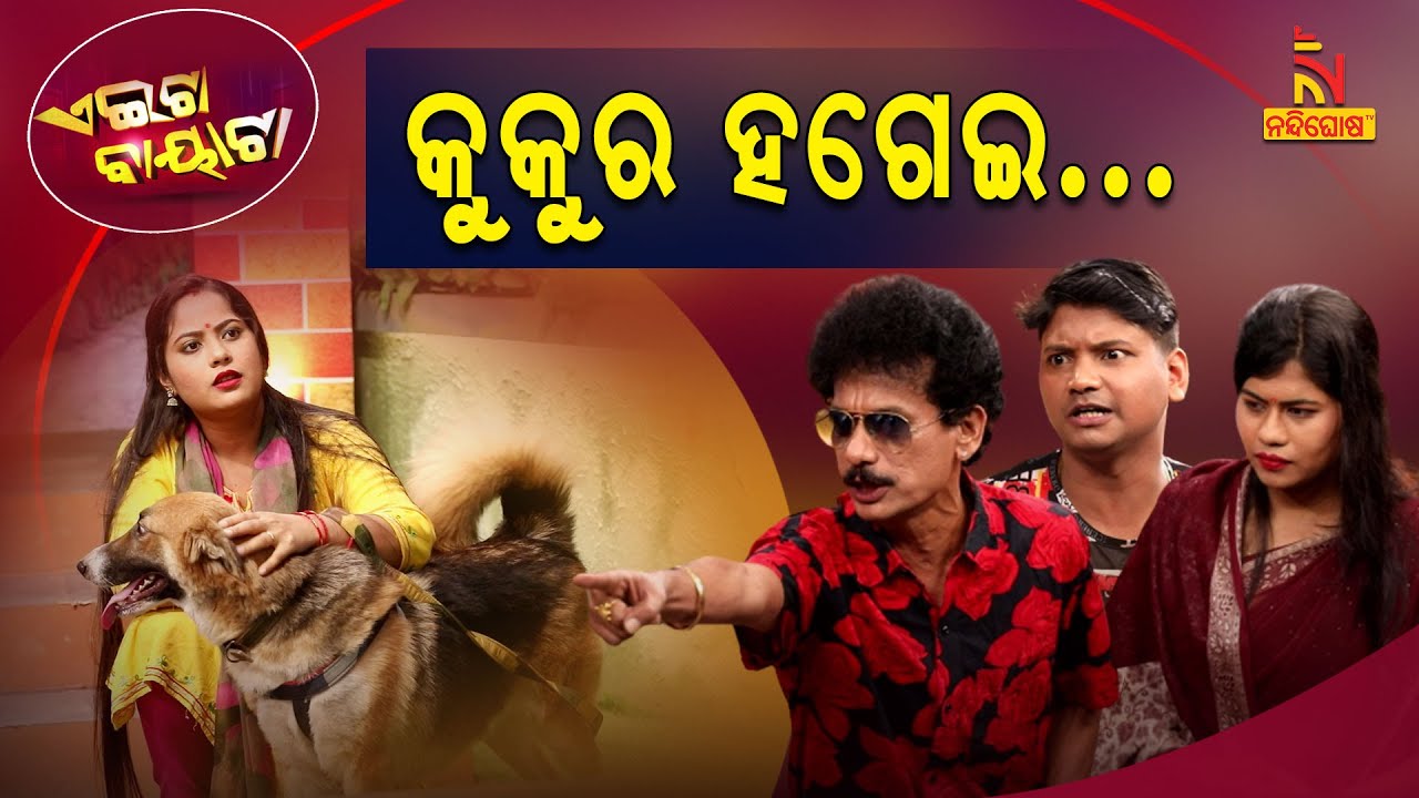 ତମ କୁକୁରକୁ ତମ ଦୁଆରେ ହଗଉନ... | Street Dog vs Foreign Dog | Papu Pom Pom Comedy | Aeita Bayata