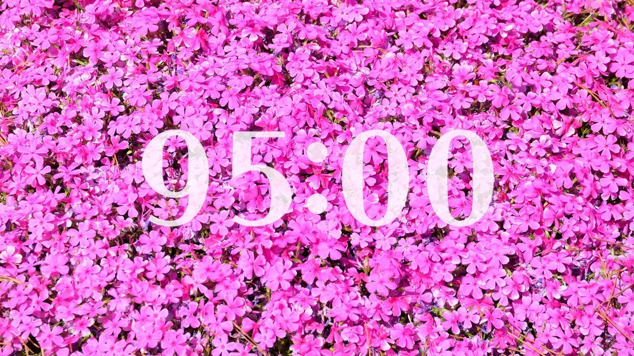 95 Minute Timer - Pink Flowers