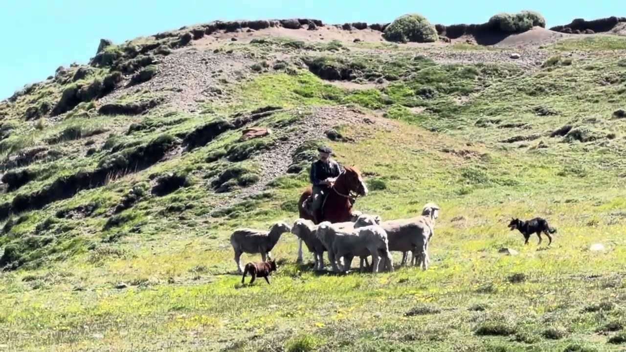 Nov 2025 Patagonia Chile - Ranch visit