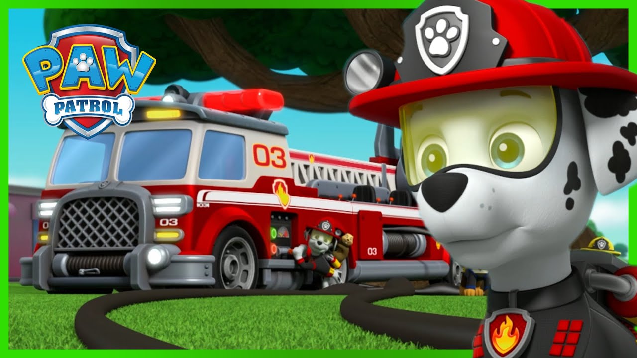 Mais de 1 hora de epis&oacute;dios do Resgate Especial e mais - Patrulha Pata PAW Patrol Epis&oacute;dio Portugu&ecirc;s