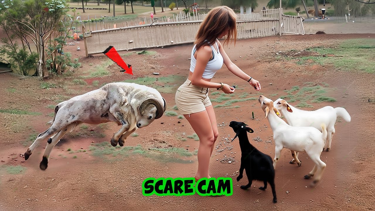 BEST SCARE CAM Priceless Reactions 2026😈#317 | Funny Scare Cam 🤣| Jump Scare 😂| CoCo Scare Cam |