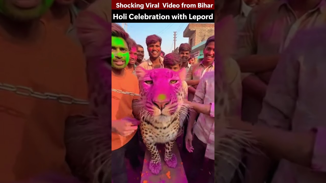 Bihar viral video holi celebration with lepord 😱 #shorts #holi