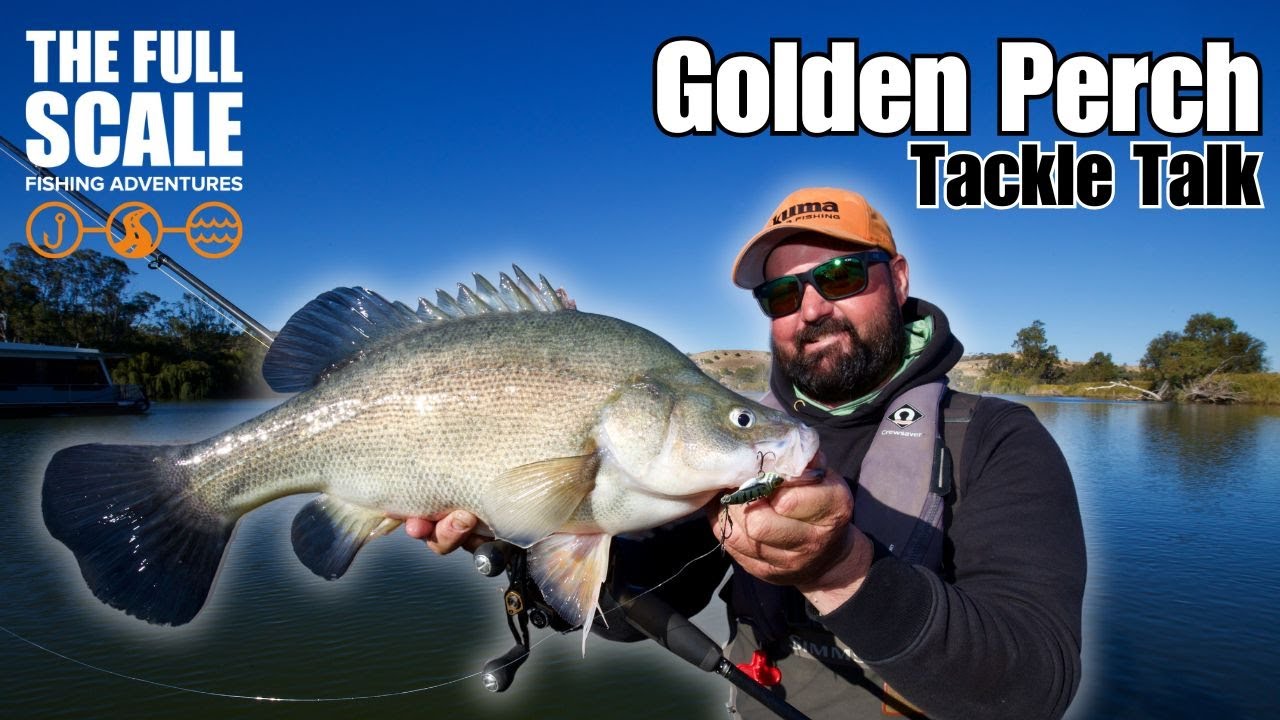 Golden Perch Tackle Talk | The Full Scale