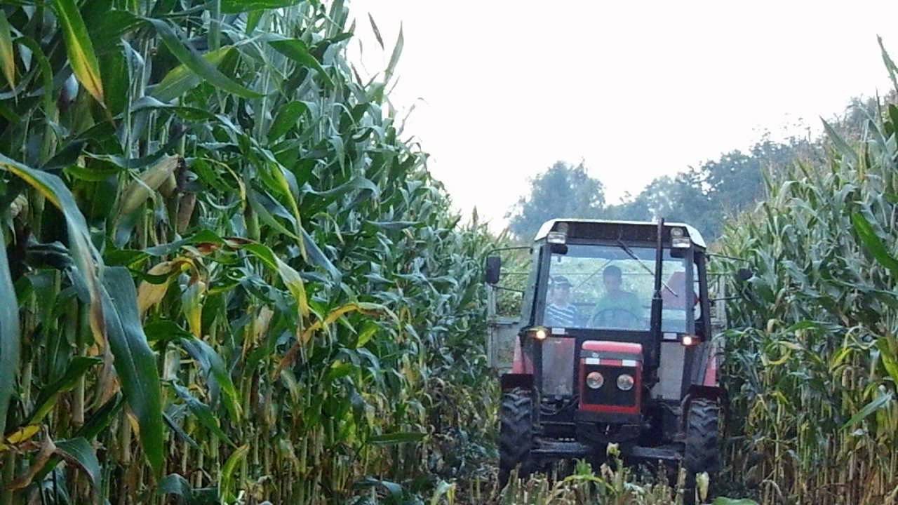 KISZONKA 2014 CLAAS JAGUAR,NH,ZETOR,JD,MANITOU,URSUS,BELARUS