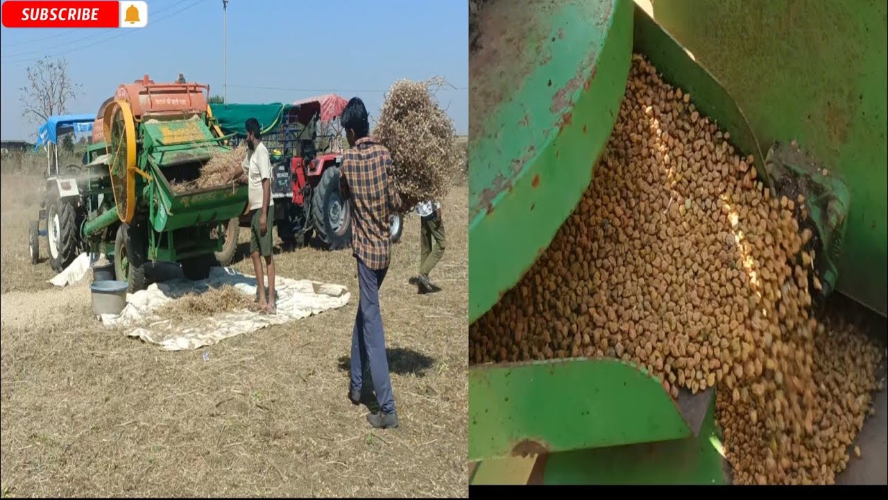 Aj apan apni punni thresar Se  chana nikal rahe hai 