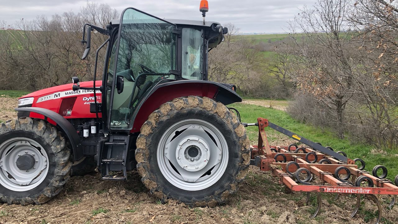 Massey fergusonlar tarlada çalışıyor 