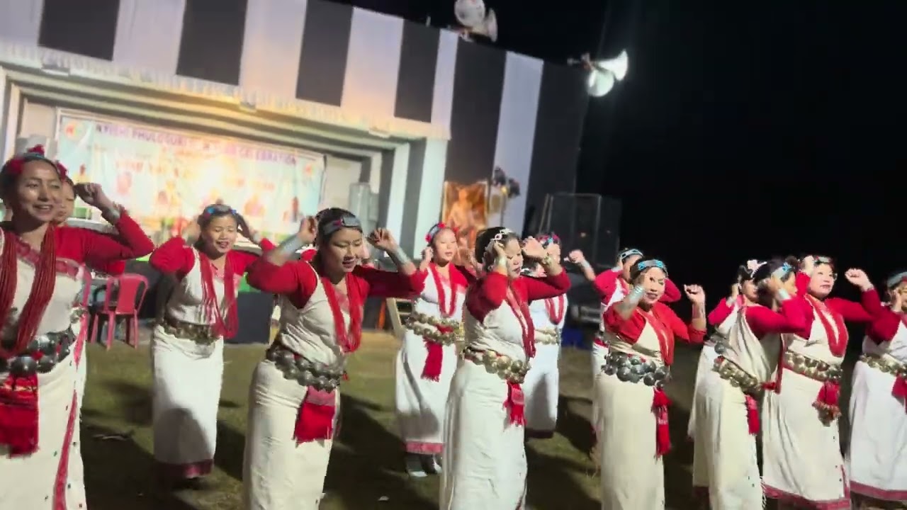 Traditional dance by dungnes