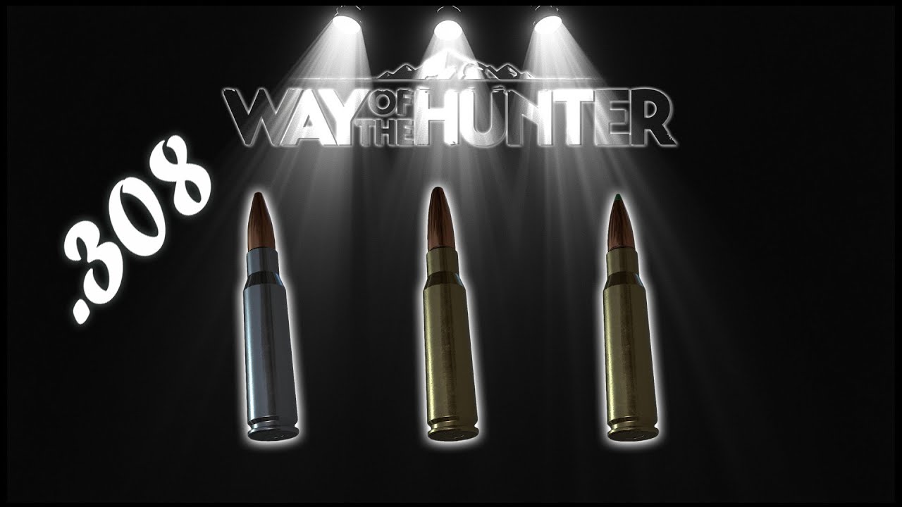 Guide to the .308 ammo change types - Way of the Hunter