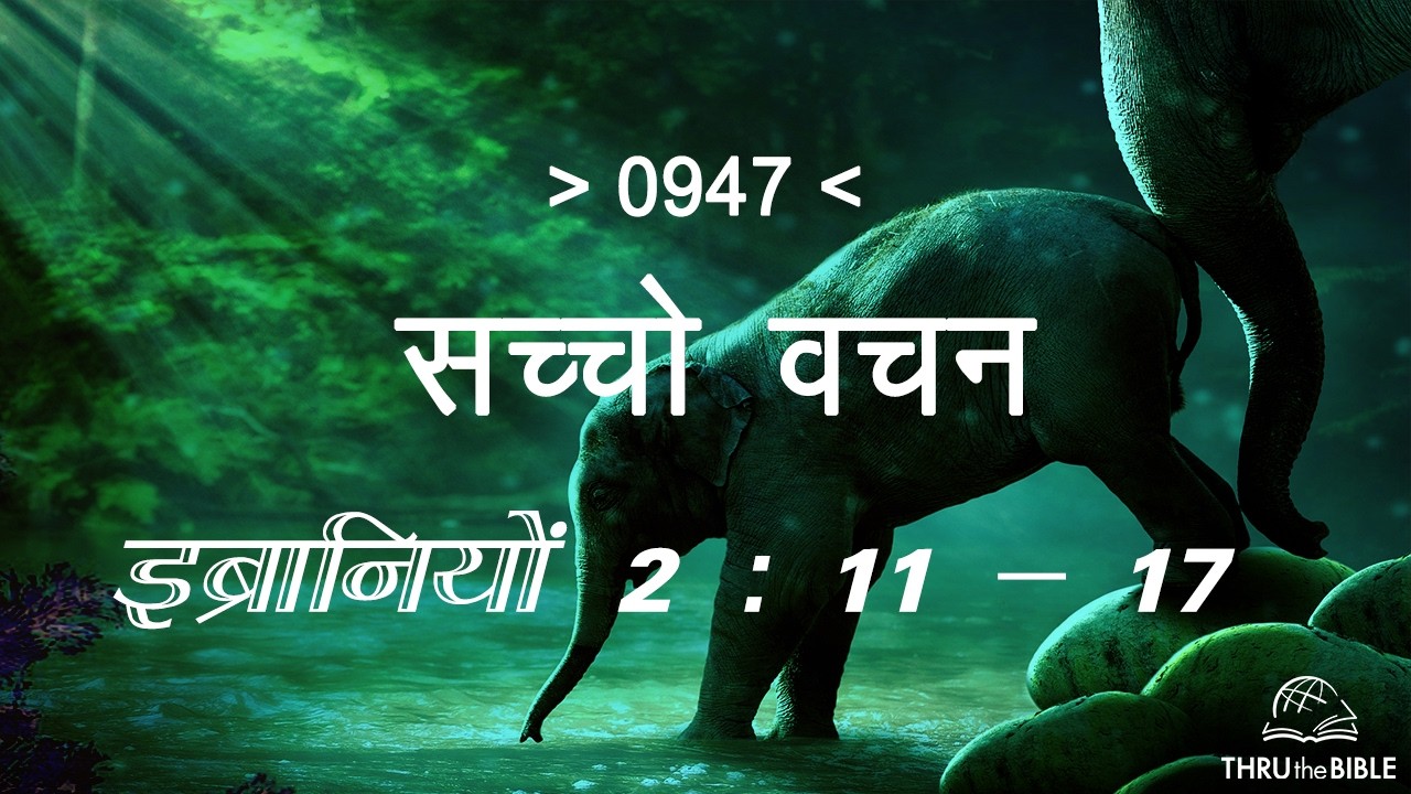 #TTB इब्रानियों 2- 11 : 17 HEBREWS (#0947) – HEBREWS Sindhi Bible Study सच्चो वचन