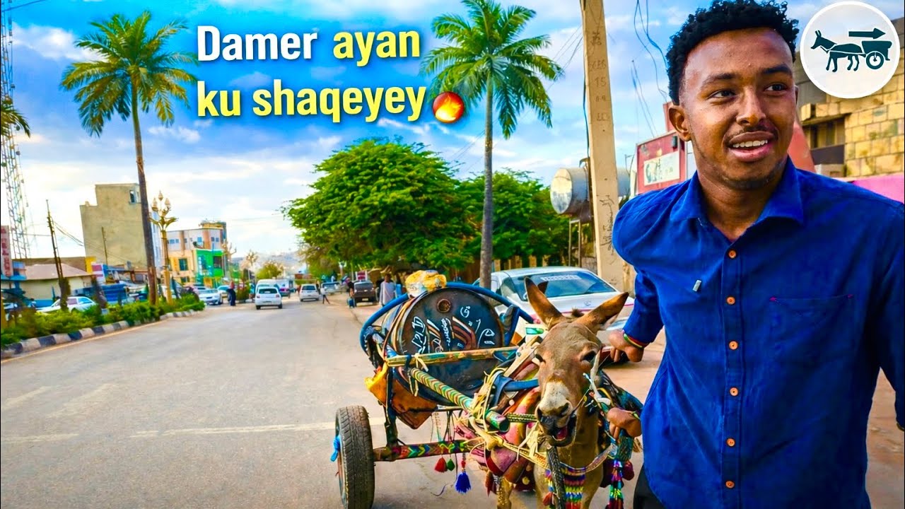 Dameer ban hargaisa kaga shaqeyey ! | I worked with a donkey cart.