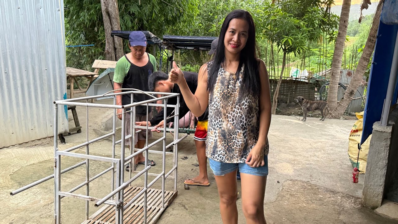 Mataas pa din ang presyo ng Baboy.