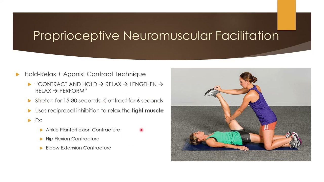 Proprioceptive Neuromuscular Facilitation (Part 2)