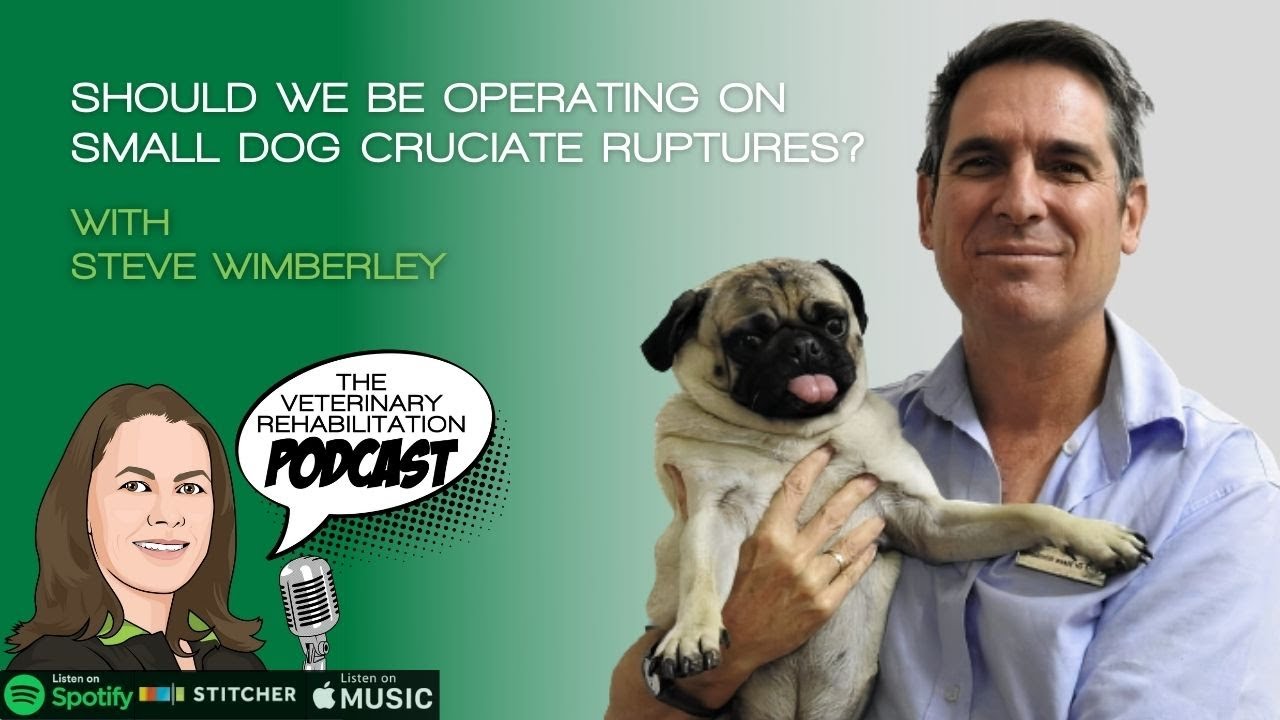 Should we Be Operating on Small Dog Cruciate Ruptures, With Steve Wimberley