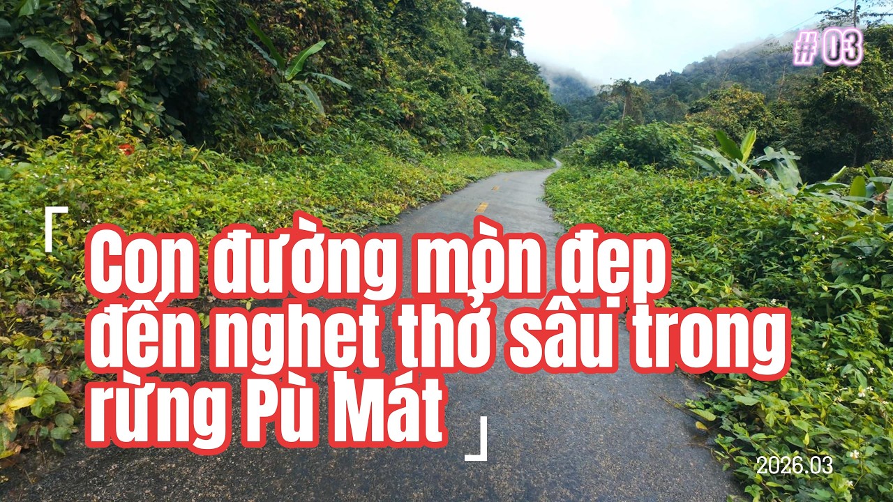 Khám phá con đường mòn đẹp đến nghẹt thở sâu trong rừng Pù Mát