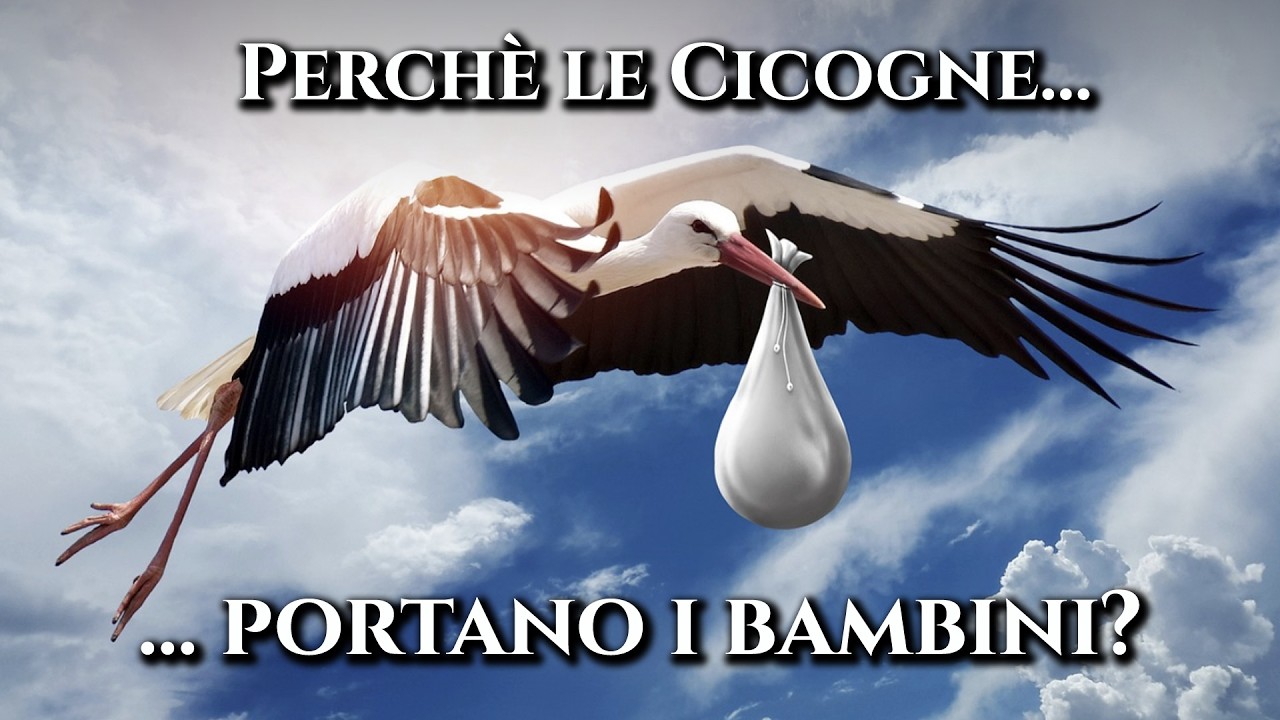 Perché le CICOGNE portano i BAMBINI?