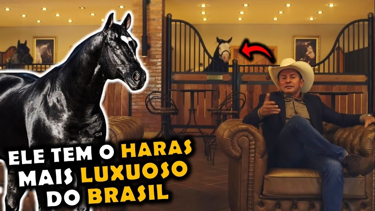 O INCRÍVEL HARAS MAIS LUXUOSO DO BRASIL E DO MUNDO!