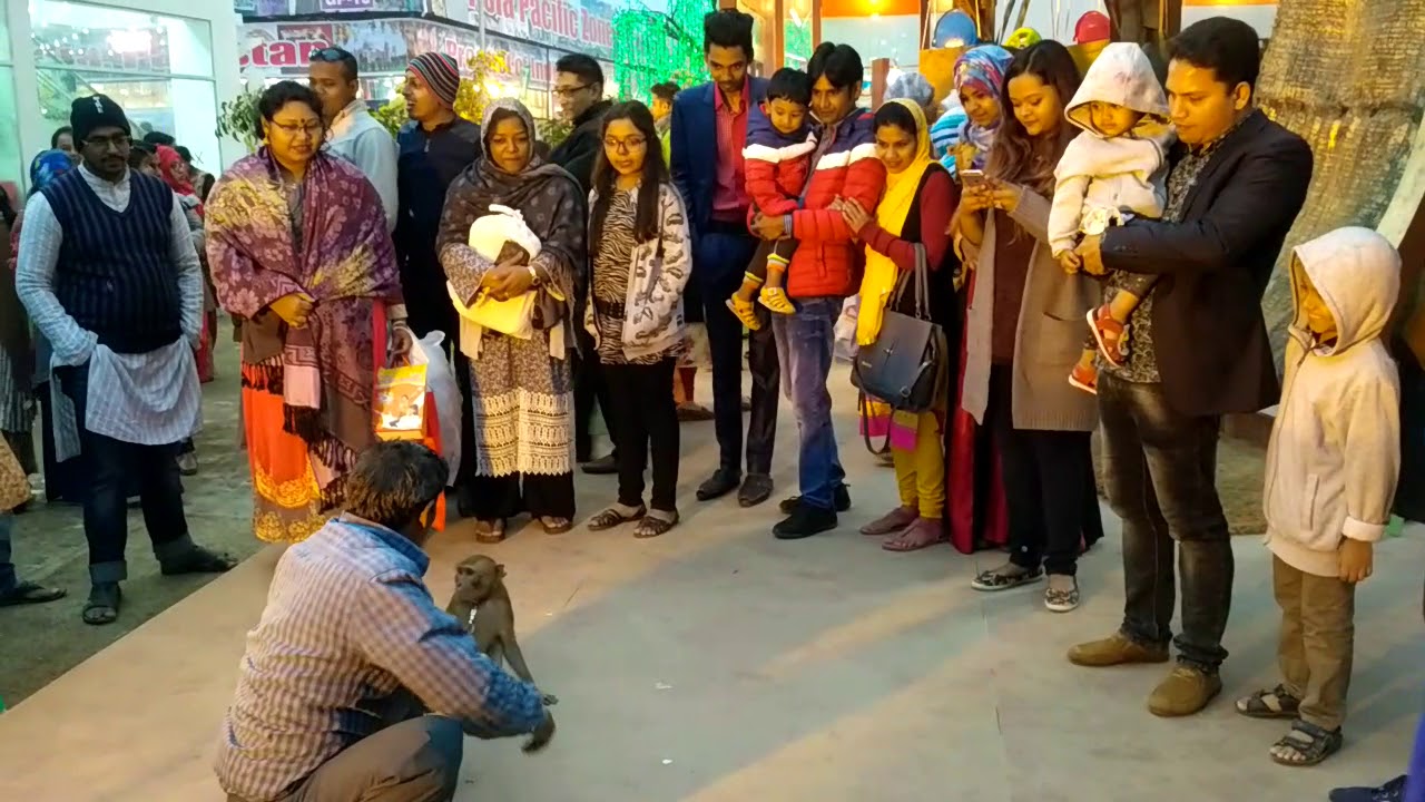 Funny show of monkey at DITF 2018