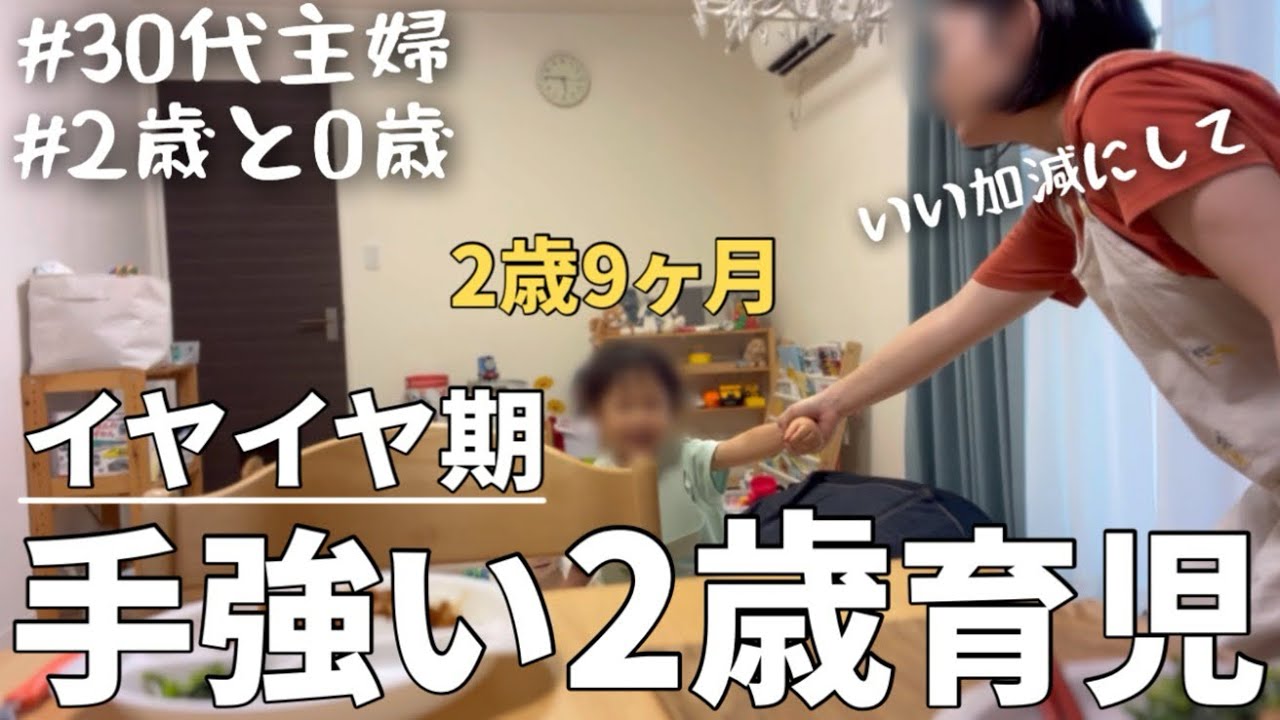 【魔の2歳児】イヤイヤ2歳児にお手上げの夜/2歳9ヶ月と8ヶ月ナイトルーティン【子育て】【家事】