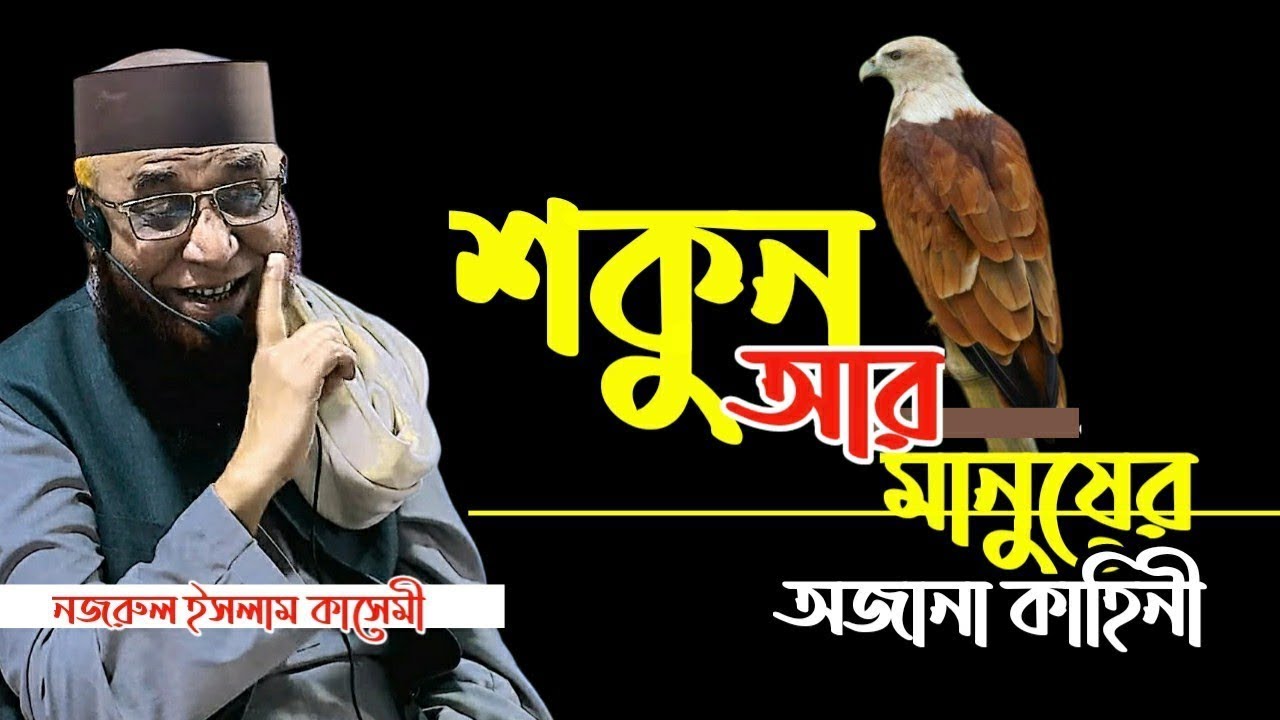 শকুন আর মানুষের আজব কাহিনী || Nazrul islam kasemi waz || মুফতি নজরুল ইসলাম কাসেমী WAZ 2024
