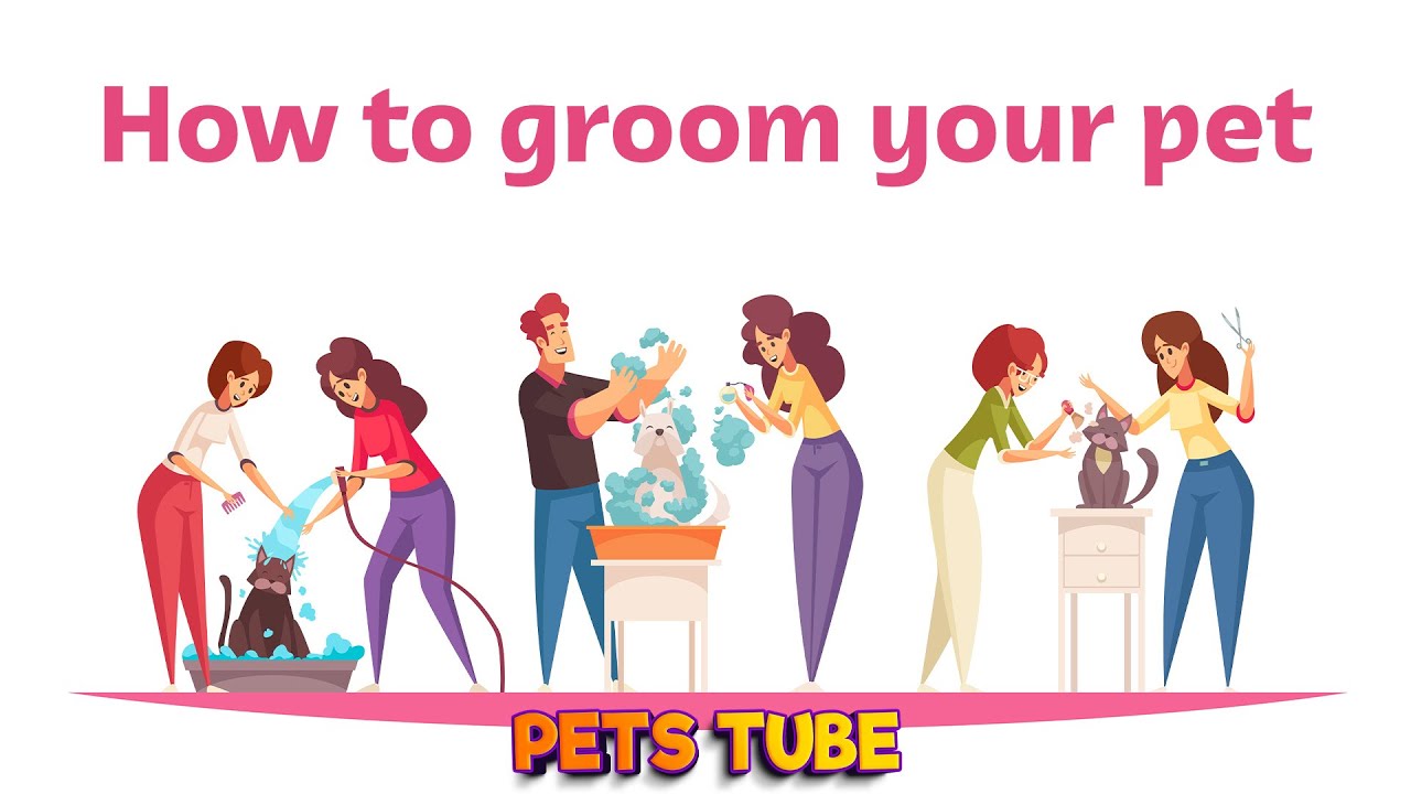&zwnj;Pamper Your Pooch: Expert Dog Grooming Tips & Tricks