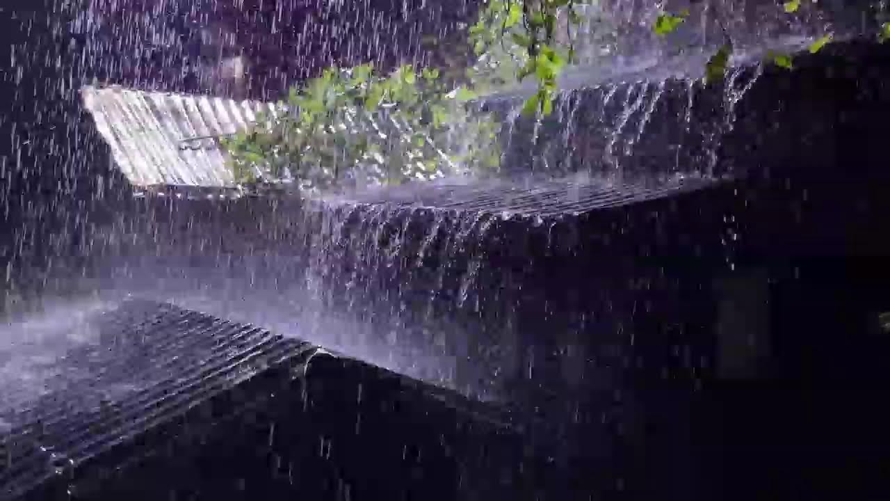 Soft Rain on Tin Roof | Insomnia Relief Rain Sounds – No Thunder