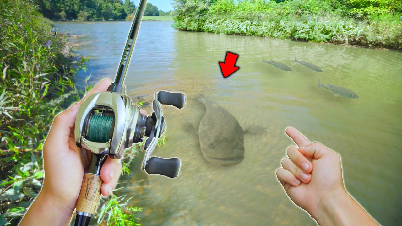 Fishing a Secret Lake LOADED W/ MONSTER Bass! (Bank Fishing)