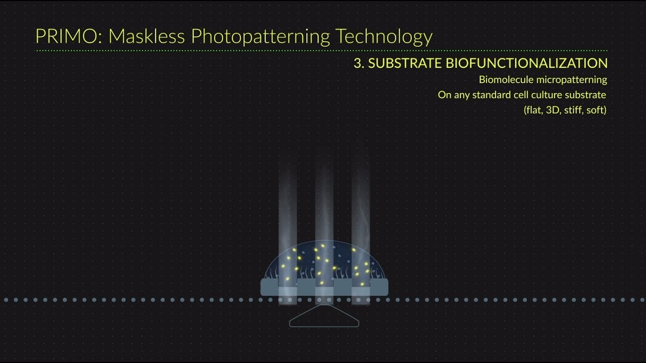 PRIMO: Bioengineering platform for custom cell microenvironments in vitro