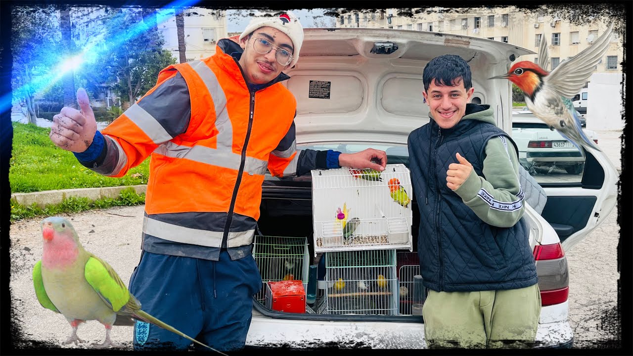 أجي نتولعو🤩 في سوق الطيور🦜 بمدينة مكناس🇲🇦 مرحبا بالجميع :تاريخ :25/1/2026الهاتف0619227462