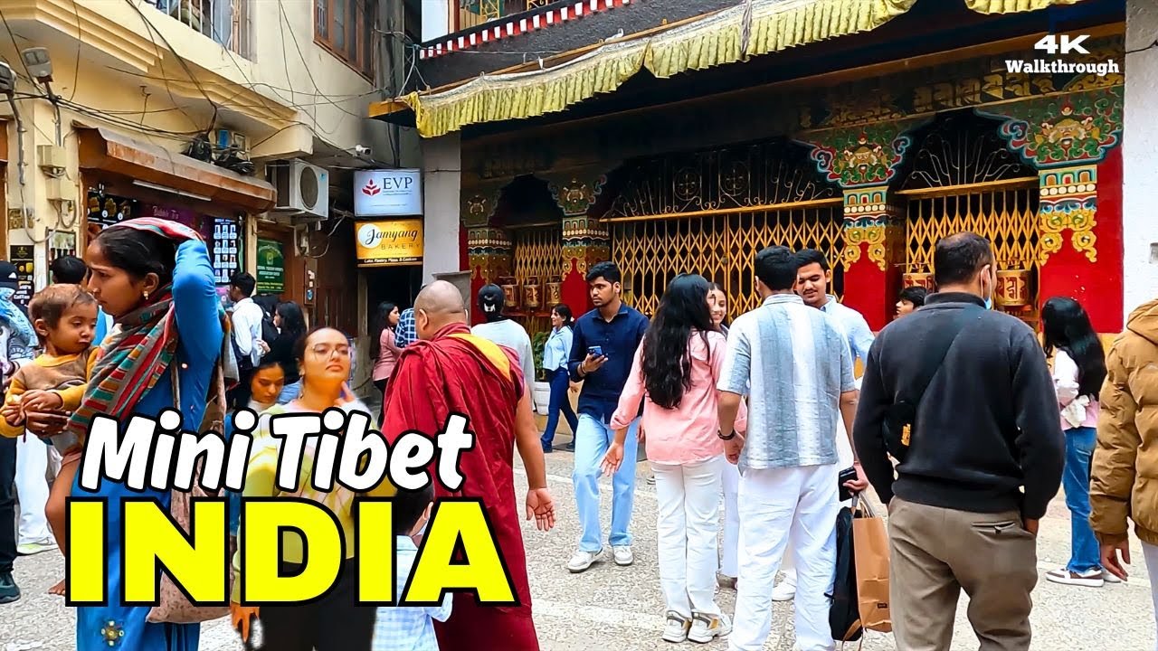 🇮🇳 Inside Delhi's Mini Tibet | Majnu Ka Tila Street Walk 2025 | Real India 4K HDR