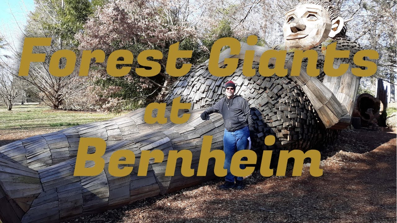 Forest Giants of Bernheim
