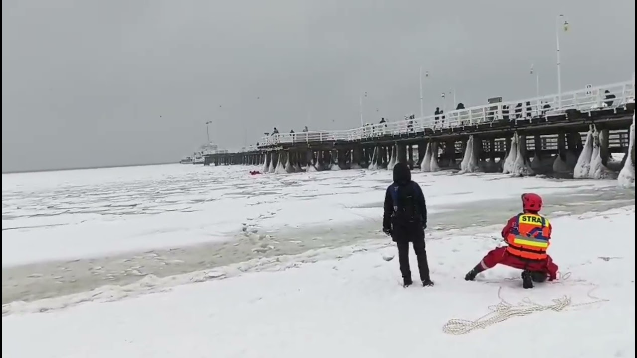 Strażacy pr&oacute;bują dostać się do foki dryfującej na lodowej krze przy molo w Sopocie