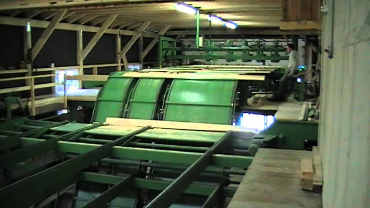 GATTERS&Auml;GEWERK mit Naschschnittanlage, Bes&auml;umautomat und Sortierwerk | www.stingl-maschinen.com