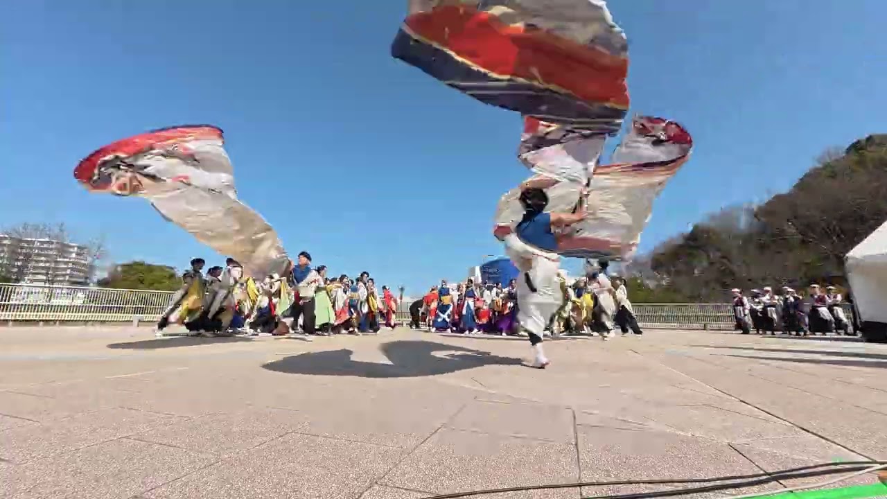 23 彩ノ京  ハナノミヤコ 堺よさこいかえる祭り2026［４Ｋ］wide2