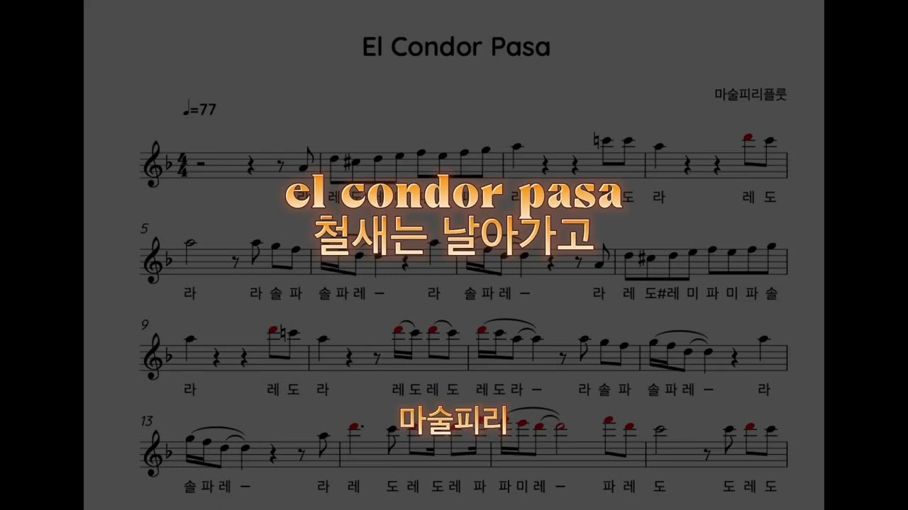 🪕철새는날아가고⛰️엘콘도파사el condor pasa