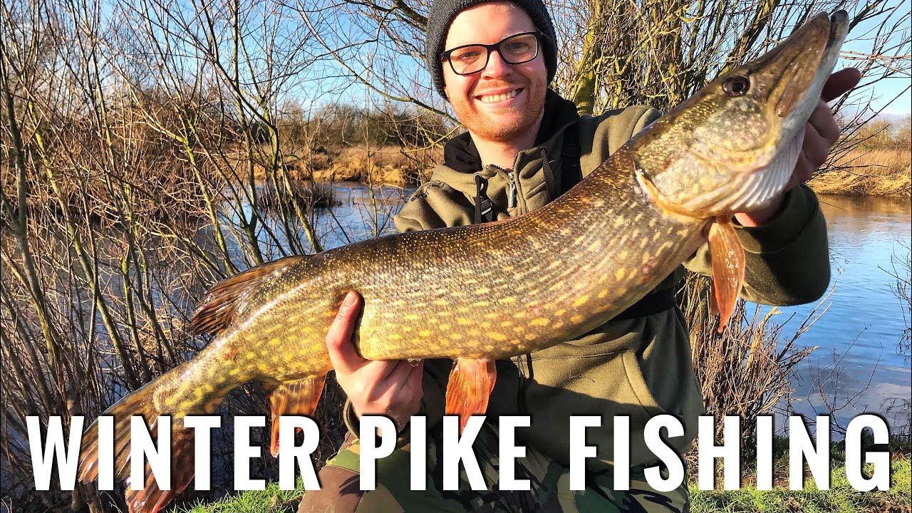 UK River Pike Fishing - Winter Lure Angling