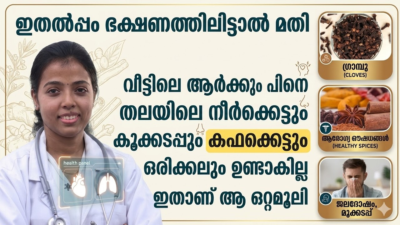 തലയിലെ നീർക്കെട്ടും മൂക്കടപ്പും കഫക്കെട്ടും ഒരിക്കലും ഉണ്ടാവില്ല വീട്ടിൽ തന്നെ ഒറ്റമൂലി